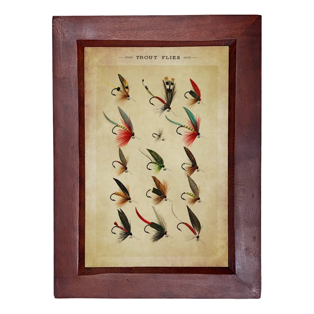 Trout Flies Reproduction Print, Vintage Behind Glass