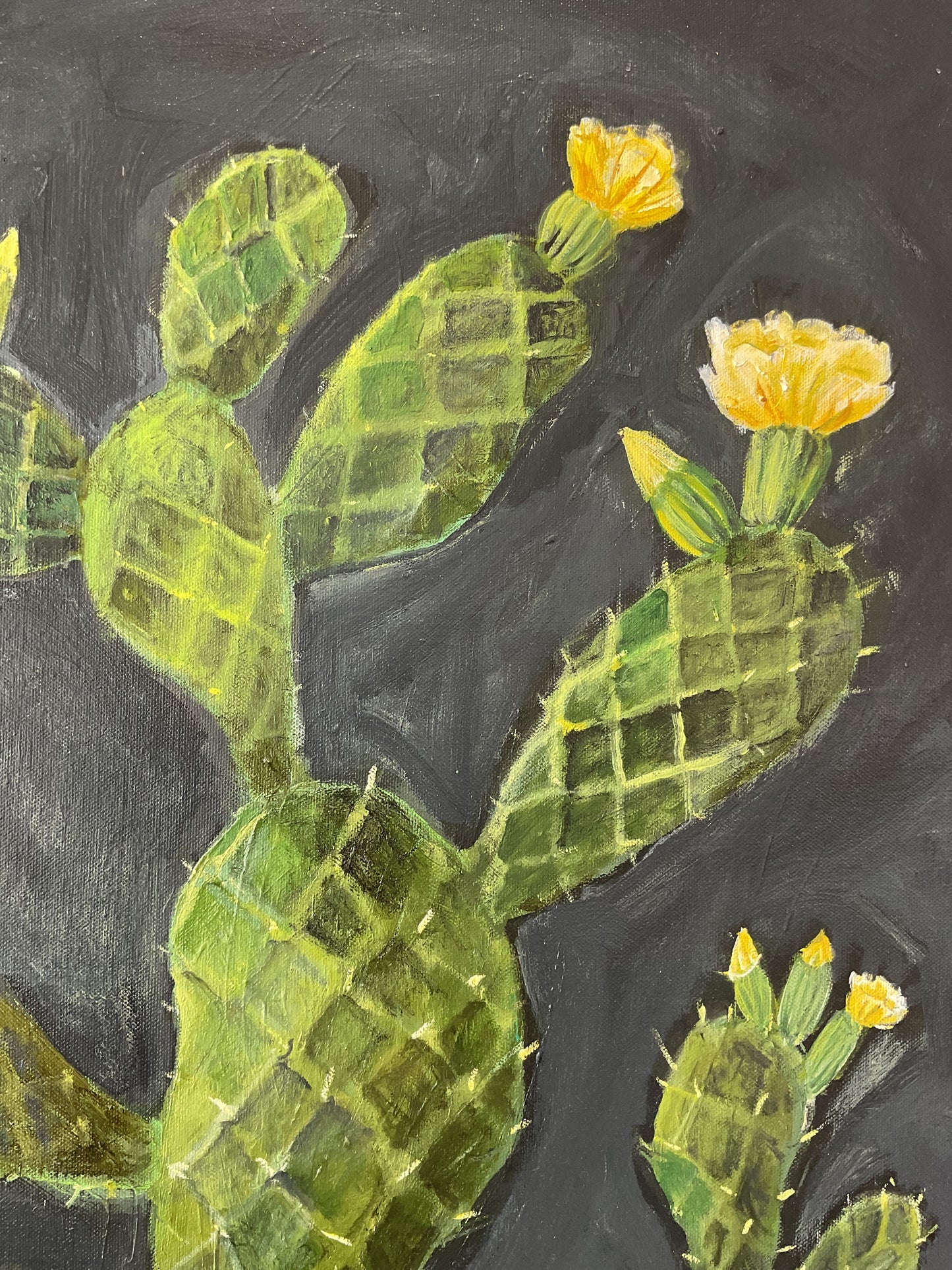 Cactus 1