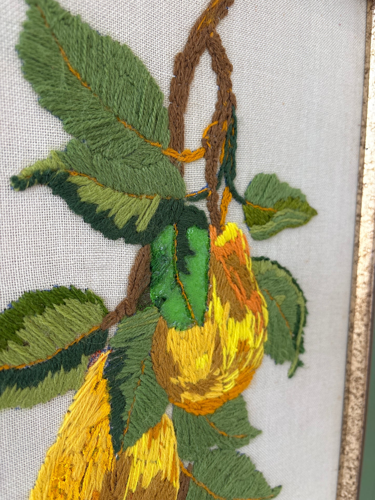 Repaired Pears