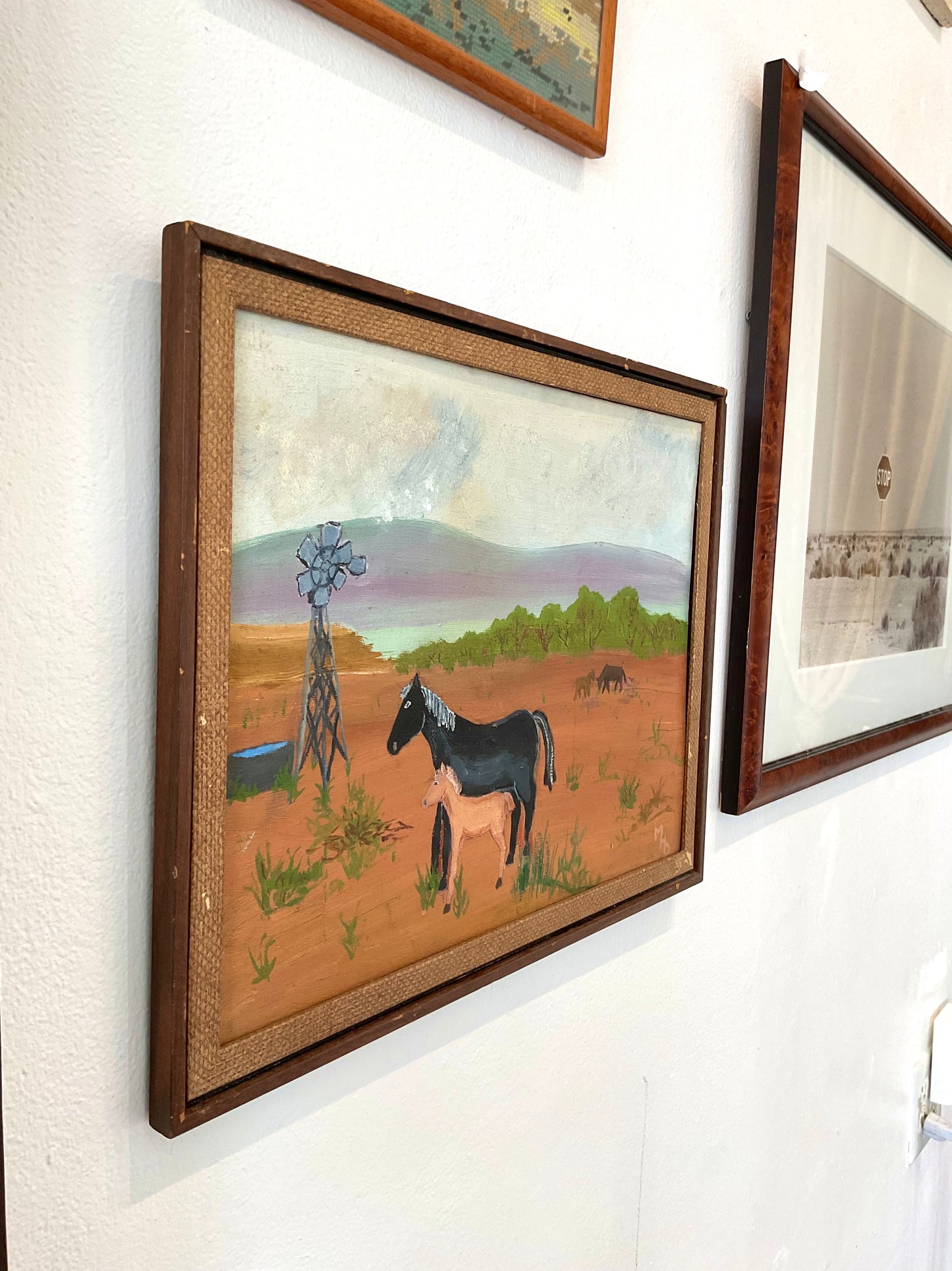 Horse and Colt
