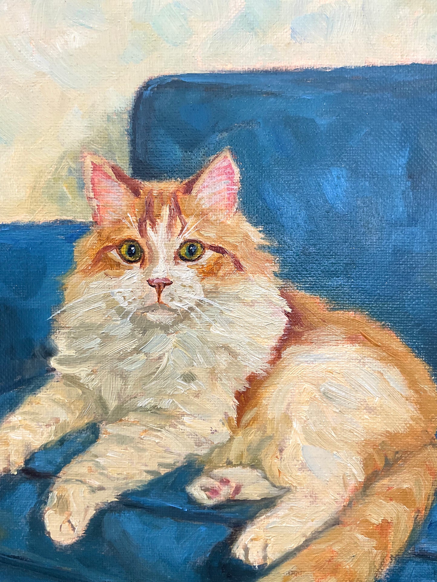 Orange Fluffy Cat