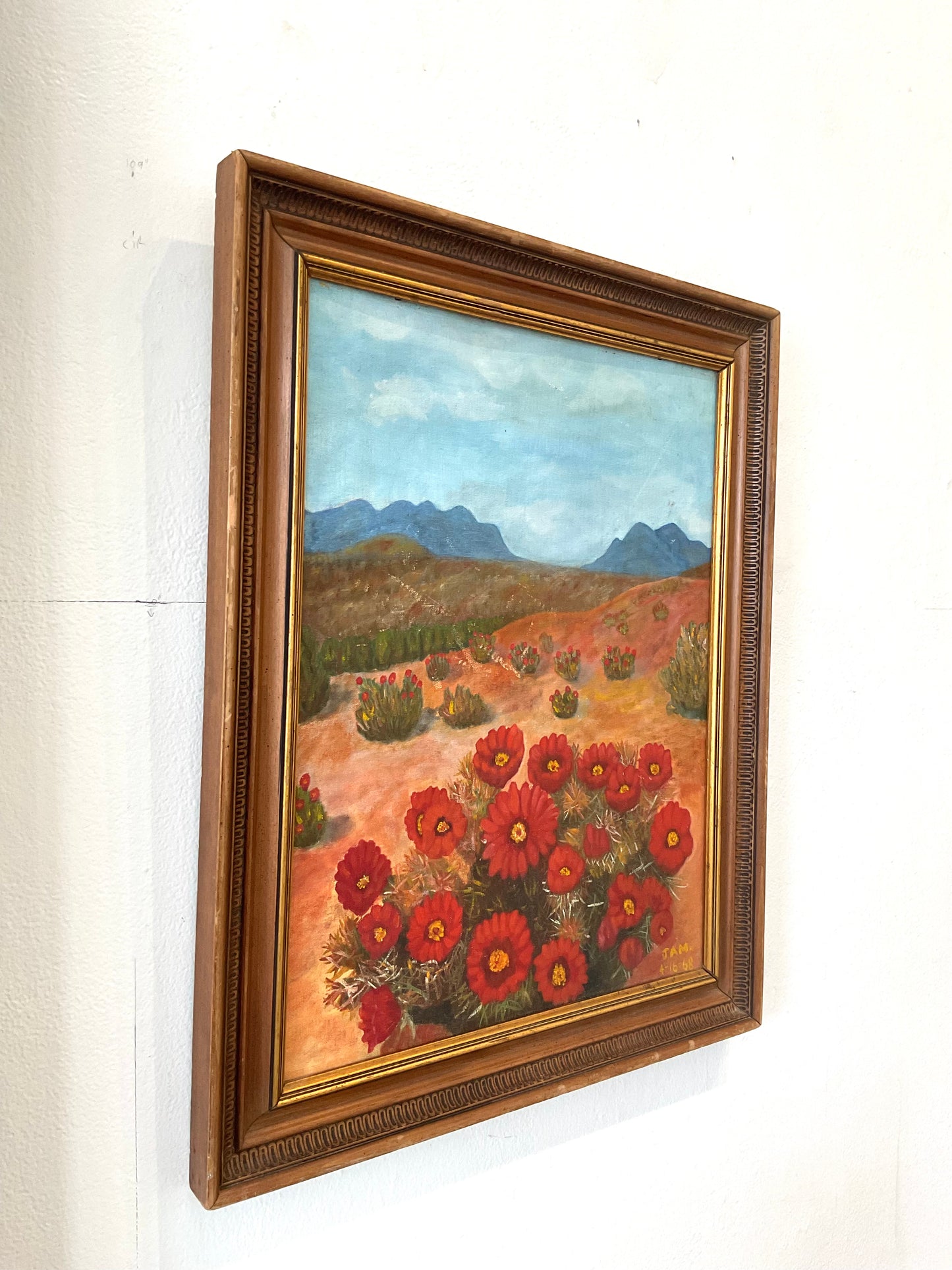 Red Flower Desert Field