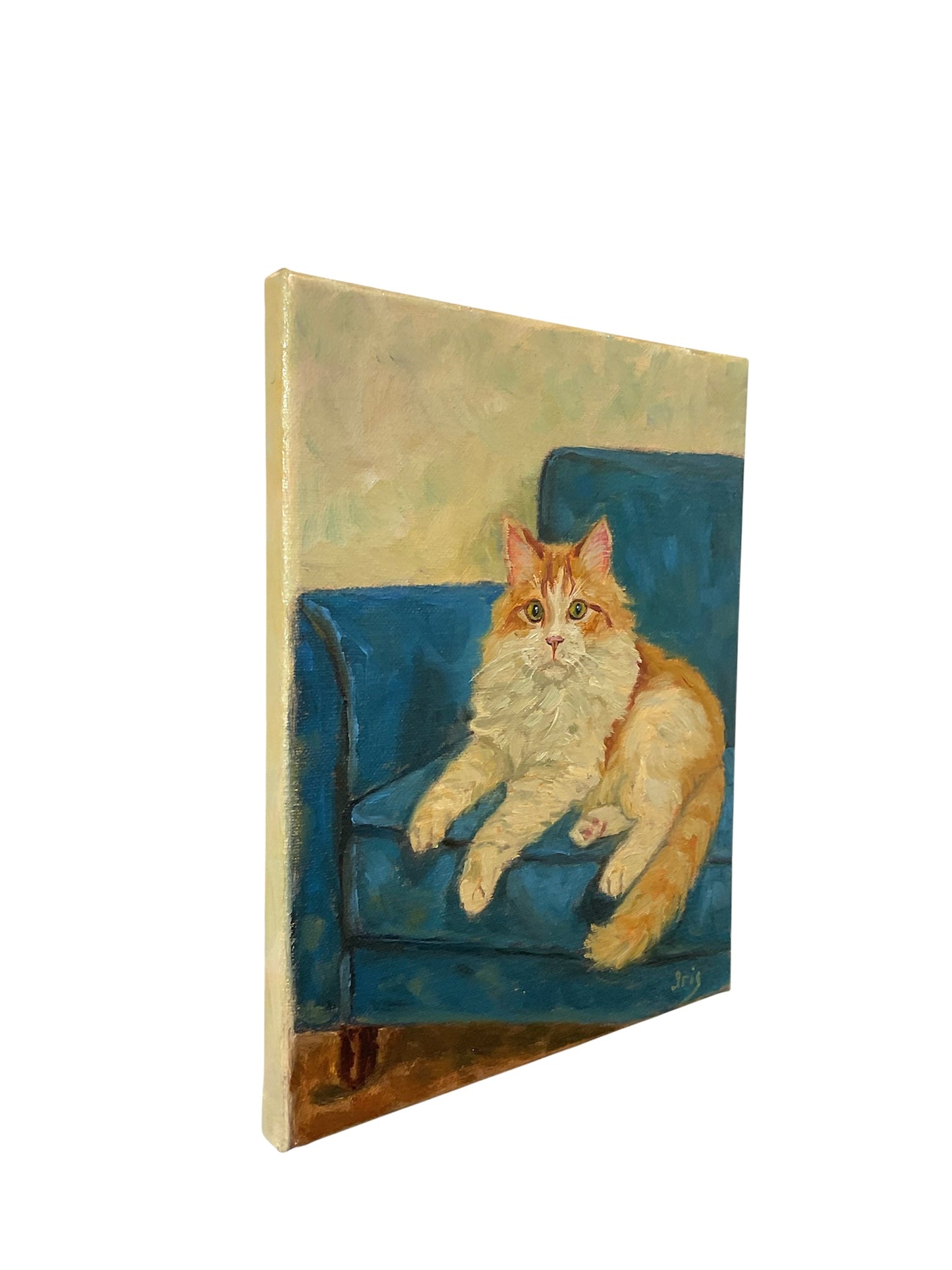 Orange Fluffy Cat