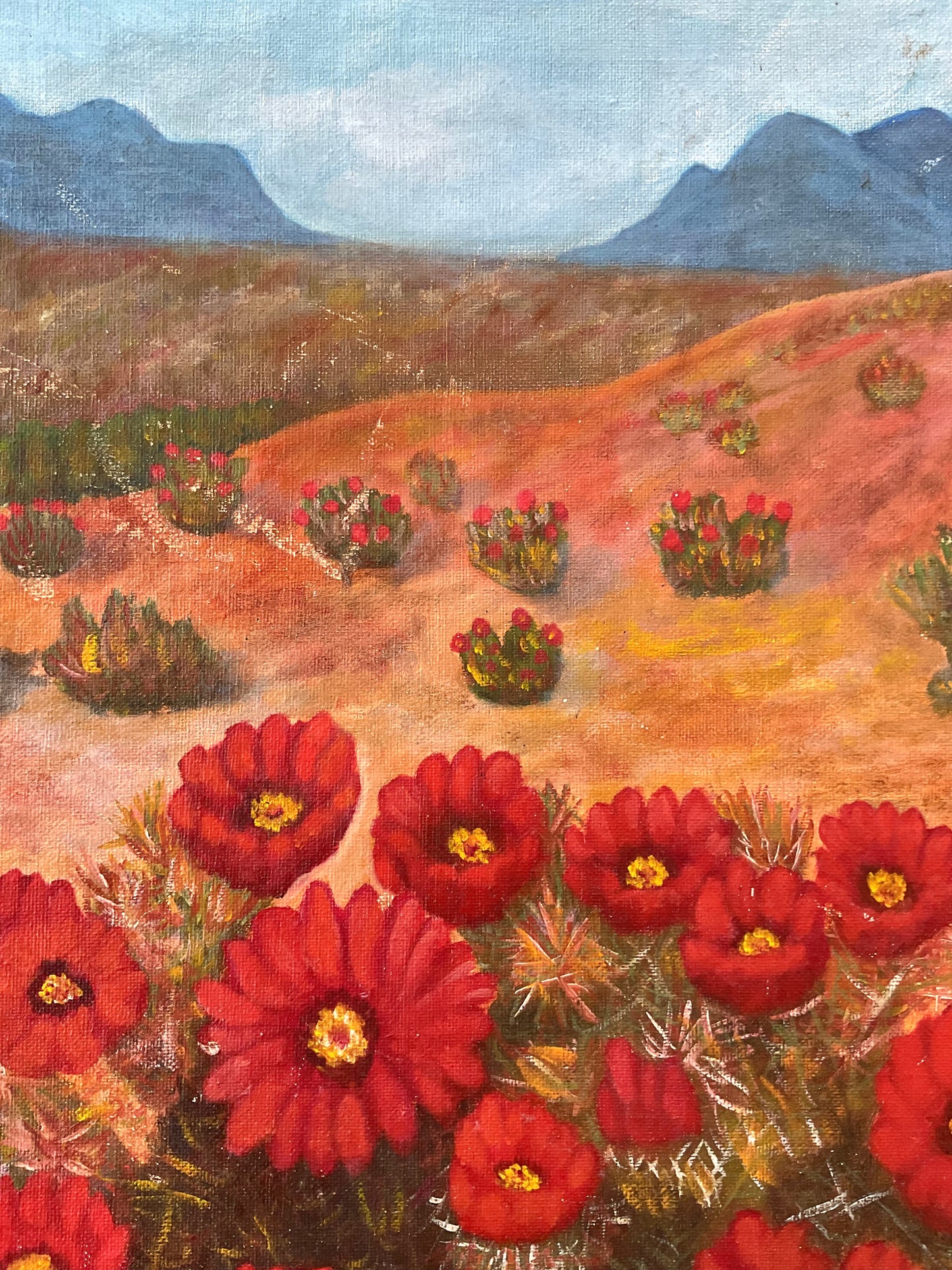 Red Flower Desert Field