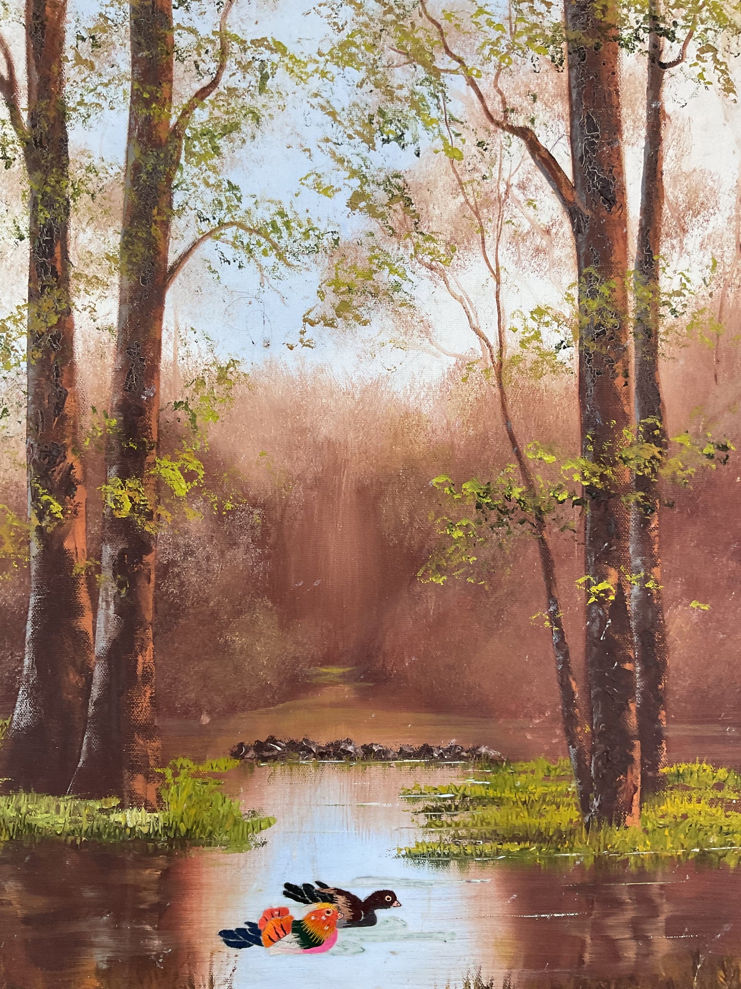 Birds in the Pond