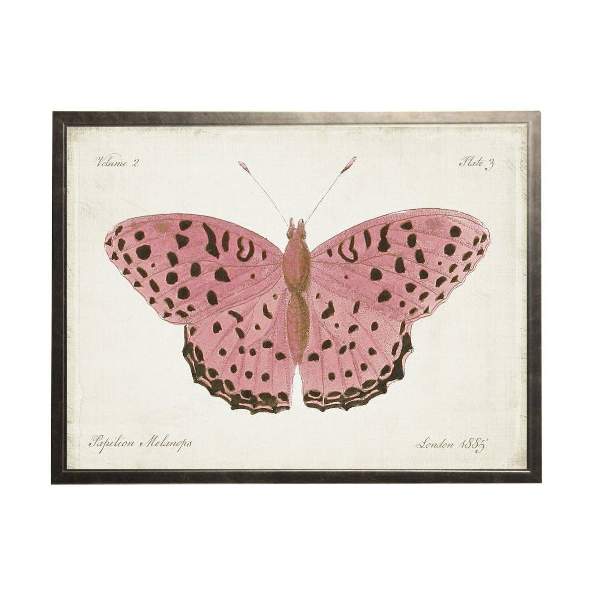 Plate 3 Pink Butterfly