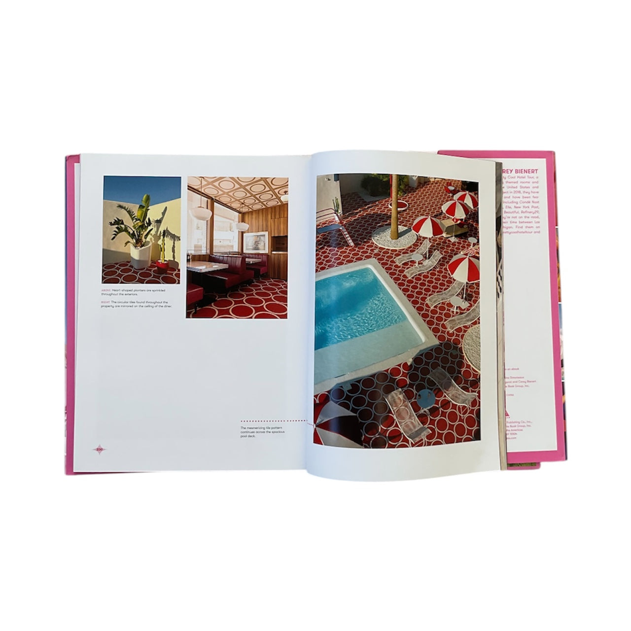 “Hotel Kitsch” by Margaret and Corey Bienert