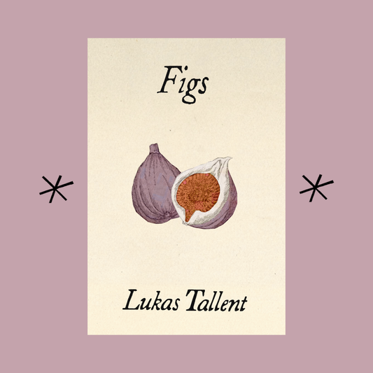 Figs, by Lukas Tallent