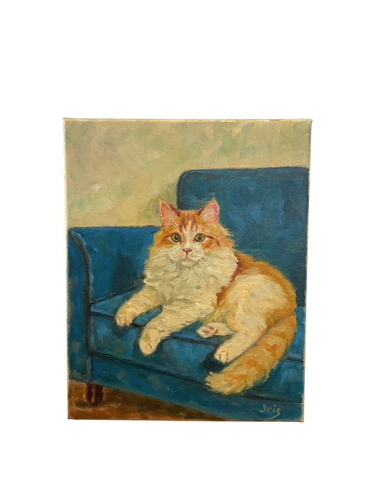 Orange Fluffy Cat