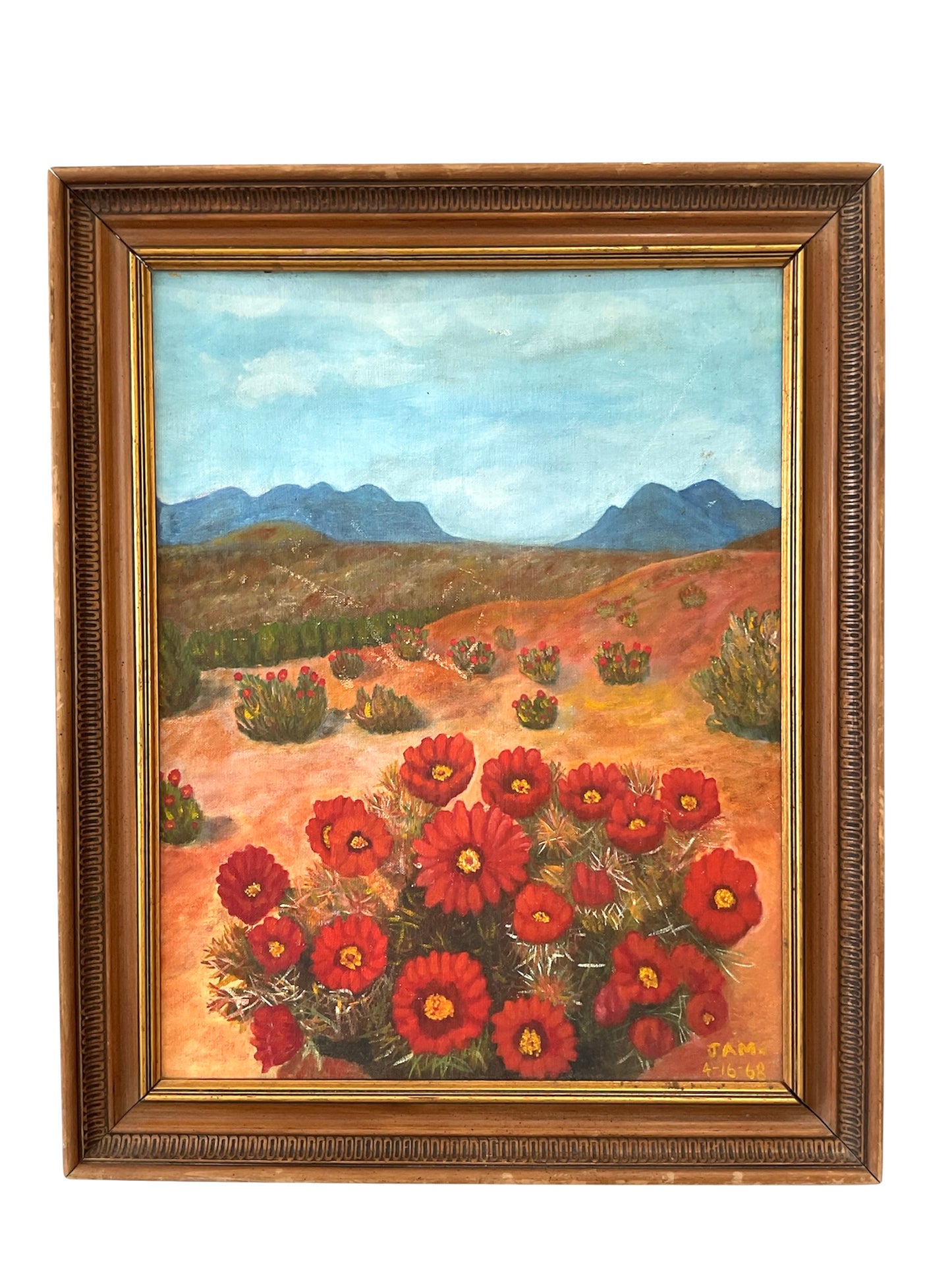Red Flower Desert Field