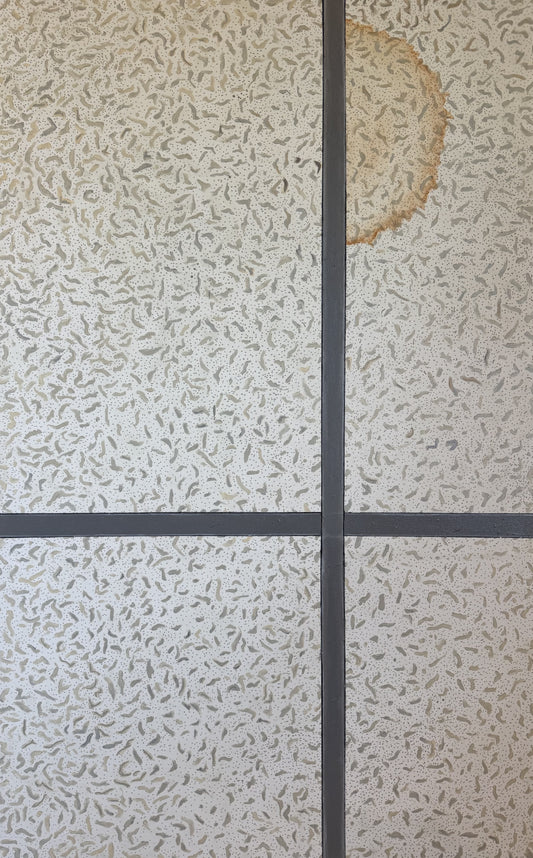 How Big Is Your Office