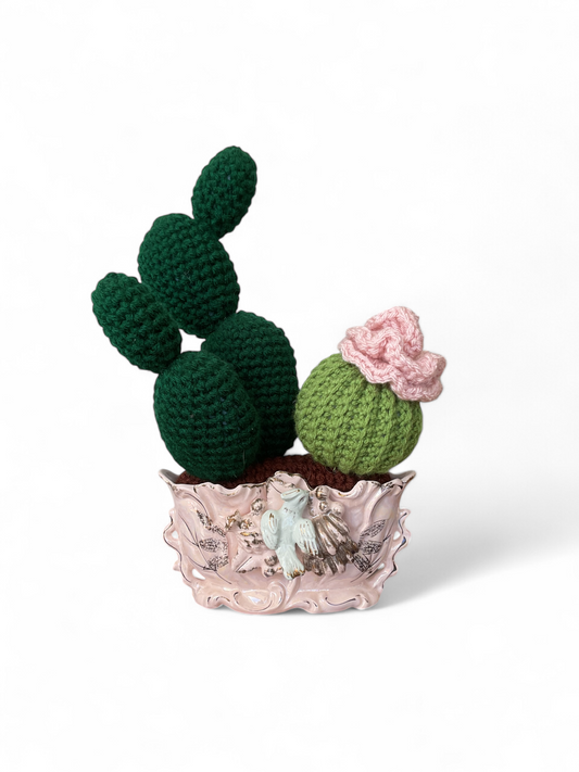 Cactus Crochet #2