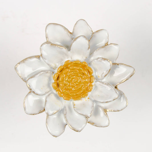 Marguerite Daisy Knob